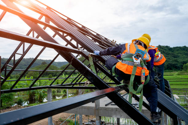Best Roof Gutter Cleaning  in Sandy Hook, CT