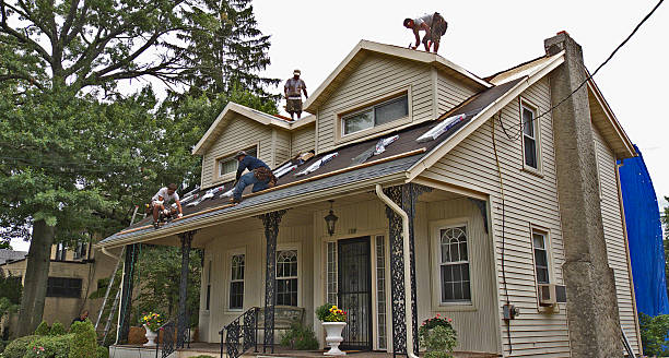 Best Shingle Roofing Installation  in Sandy Hook, CT